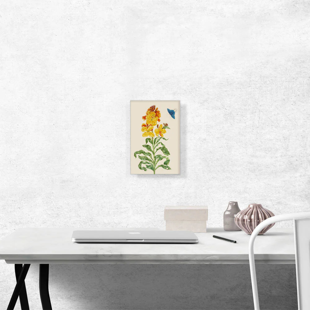 Wallflower with Blue Butterfly 1705
